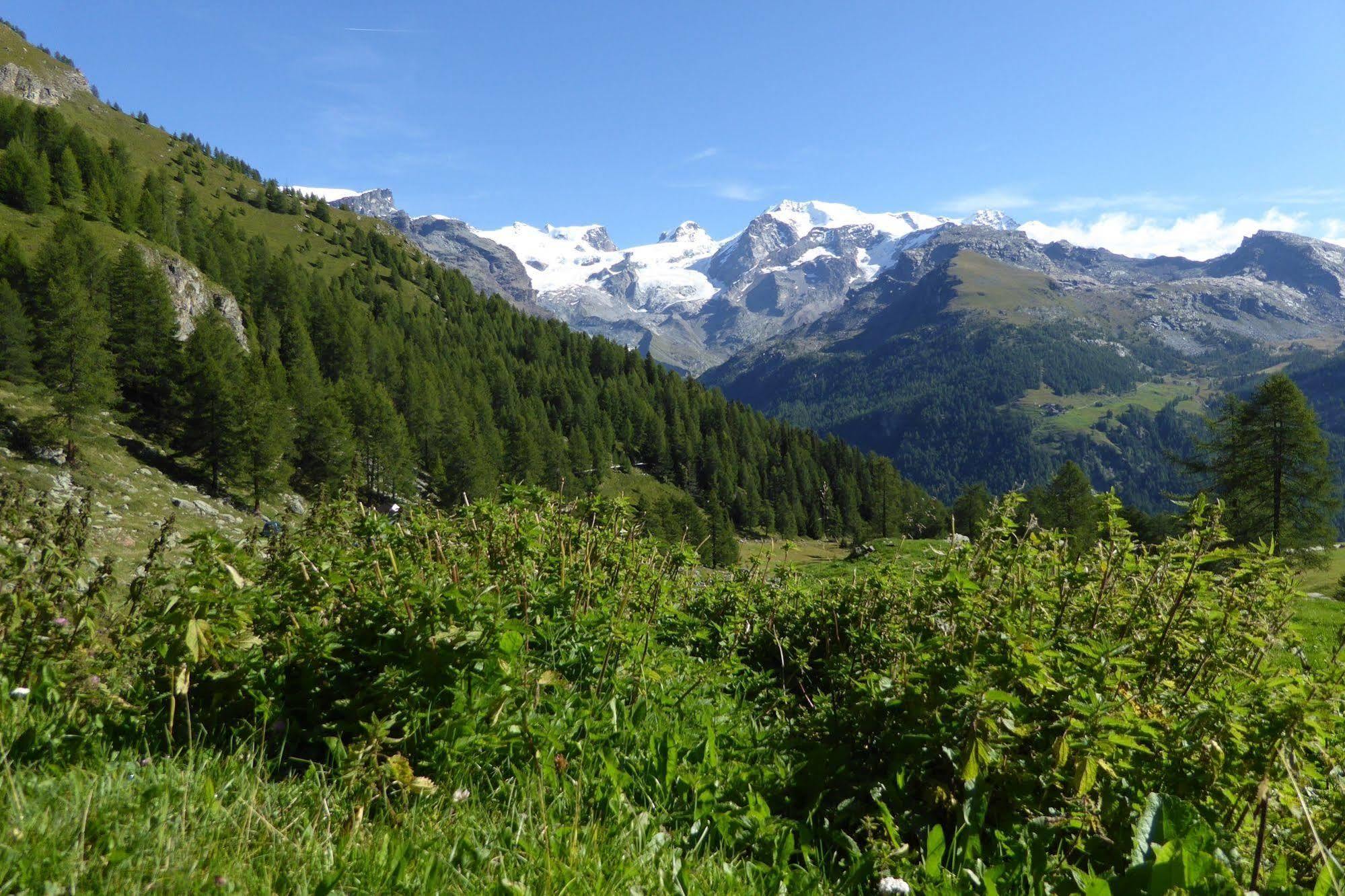 Family Apartments Le Chalet Champoluc Exterior foto